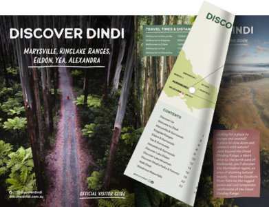 EXAMPLE PAGE - GUIDE - DISCOVER DINDI  - copy